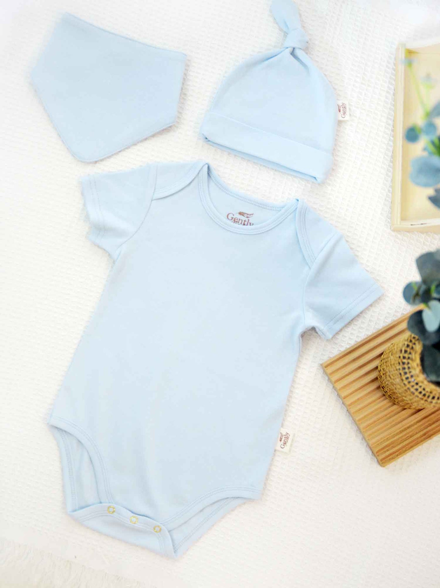 2 Pack Organic Cotton Onesies - Blue + Milk